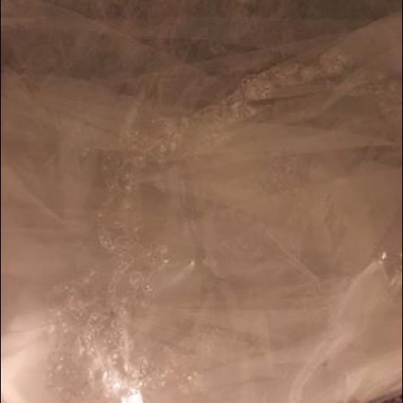 Wedding Dress - Picture 4 of 8